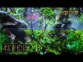 [Square] Dynamic Driftwood Aquaterrarium｜Fixed 3hours 4K HDR 60fps｜Real Aquarium ｜Untitled