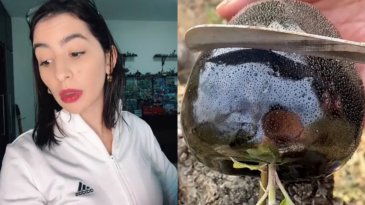 ❤️ Leidys Sotolongo Con Frutas 🤣 1 hora De los Mejores Tiktoks de @Leidys Sotolongo 