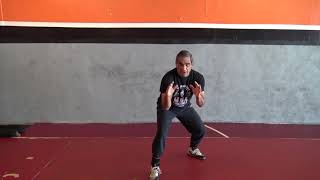 Wrestling Fundamentals - Staggered Stance