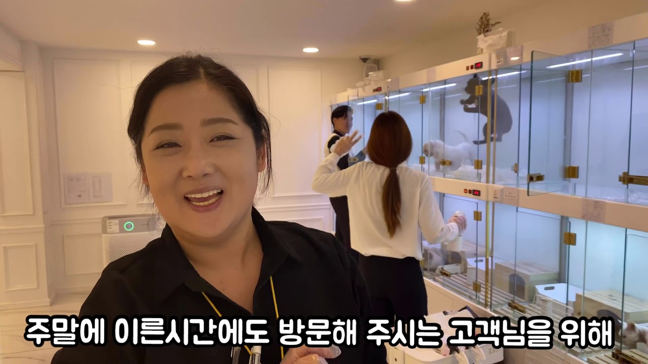 PET.J 펫플래너의 주말 아침! (펫샵 직원들은 아침에 무얼할까요?) YouTube