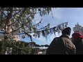 ROMA NÃO TERÁ TRADICIONAL ÁRVORES DE NATAL.