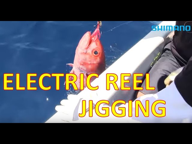 How to use an electric reel 'part 2' - SHIMANO AUSTRALIA 