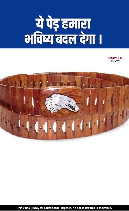 wonderfull-tree-in-europe-can-save-earth-in-hindi
