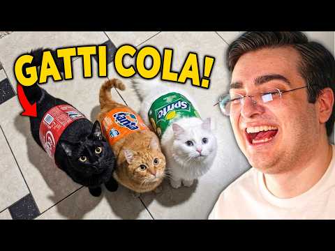 REAGISCO AI VIDEO PIU DIVERTENTI SUI GATTI PANZONIII!!