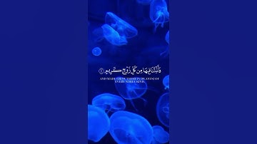 {خلق السماوات بغير عمد ترونها} | تلاوة خاشعة مؤثرة | خالد الدوسري | سورة لقمان 10