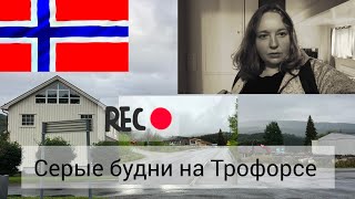 картинка: деньги закончились не спала всю ночь новый челлендж приближается 🇧🇻