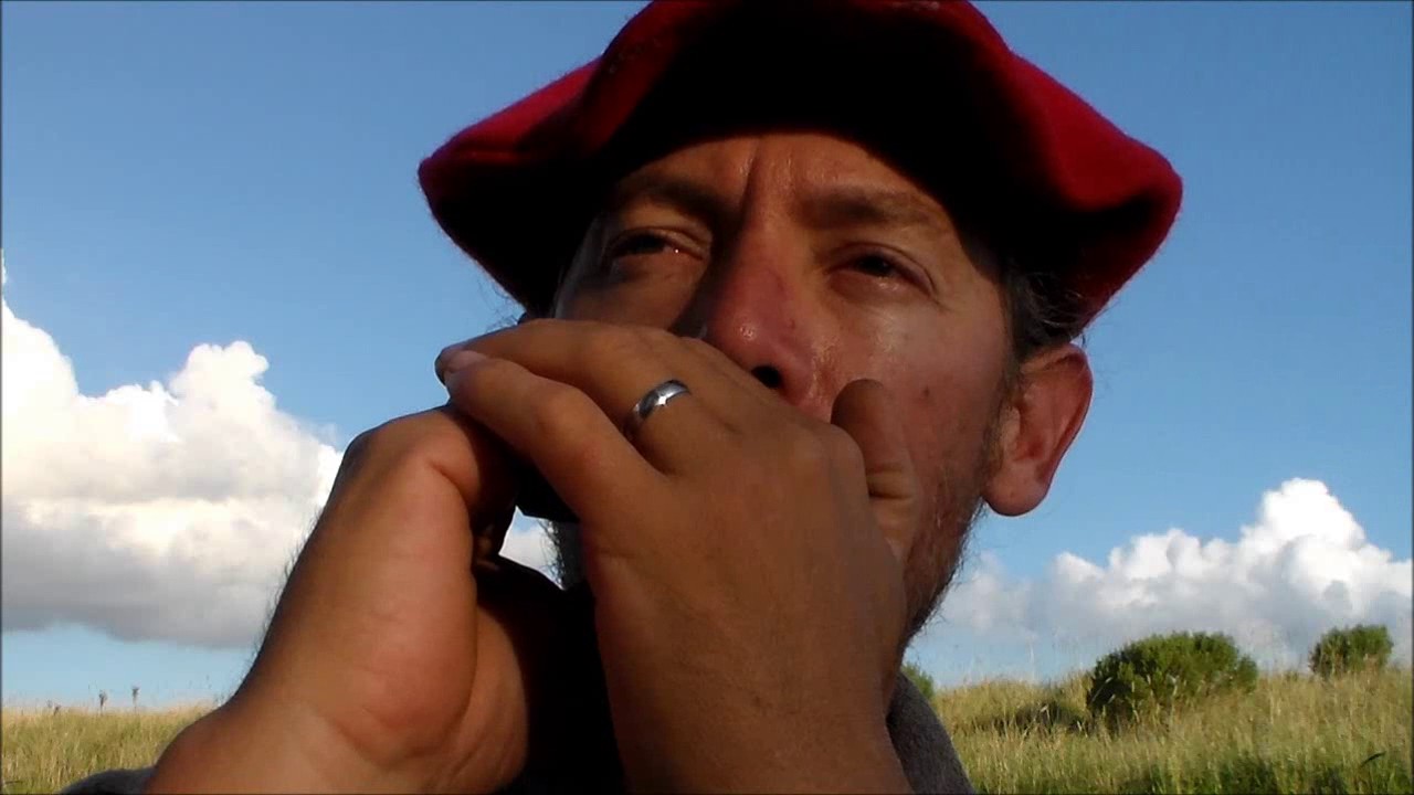 Himno Argentino Armonica