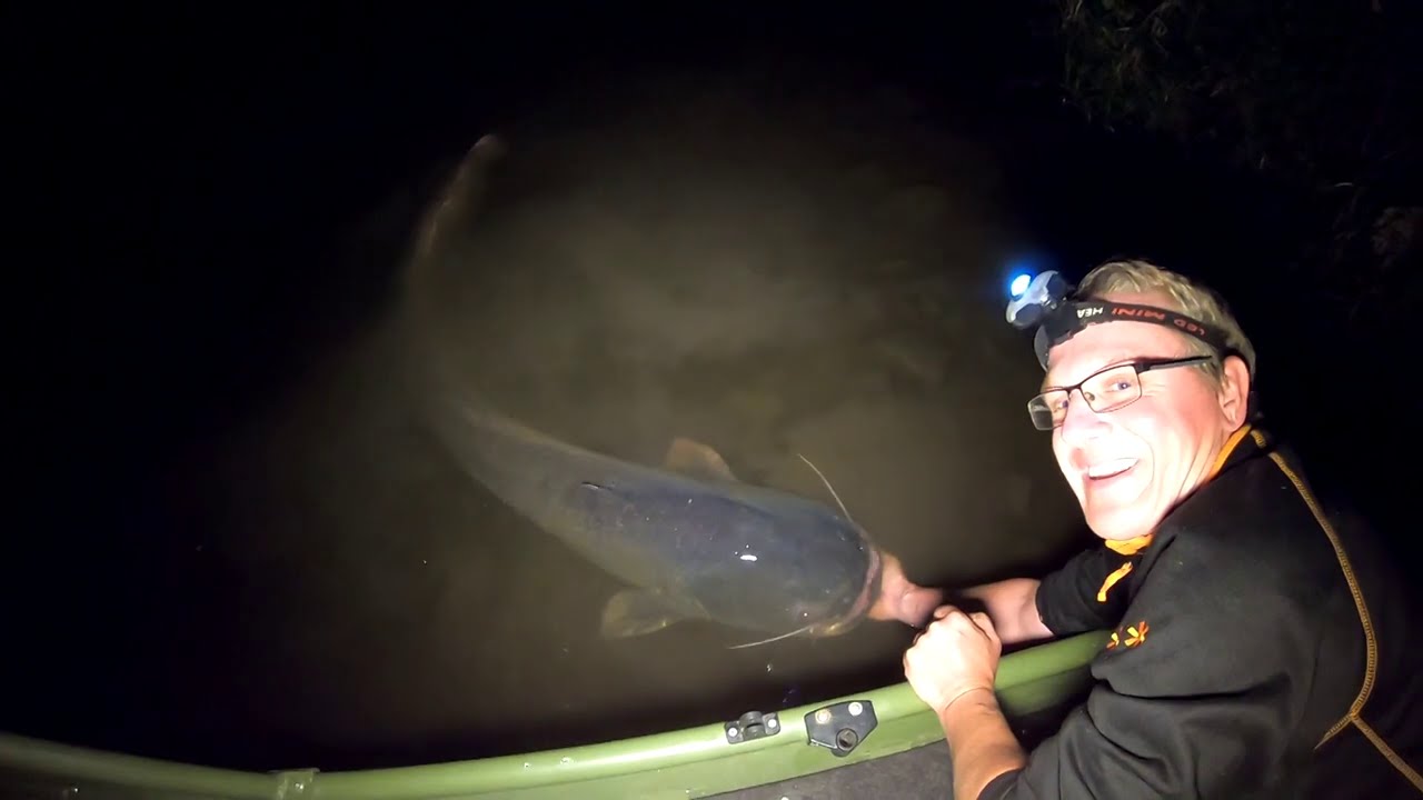 Na Labi s Vláčákem / lov sumců na podvodní splávek - září 2020