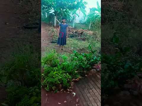 Mita100 Shortvideo Viralshorts 