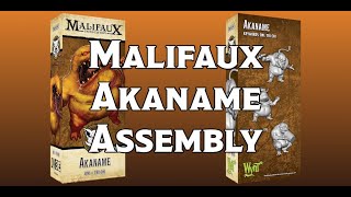 Artefactors Union Akaname