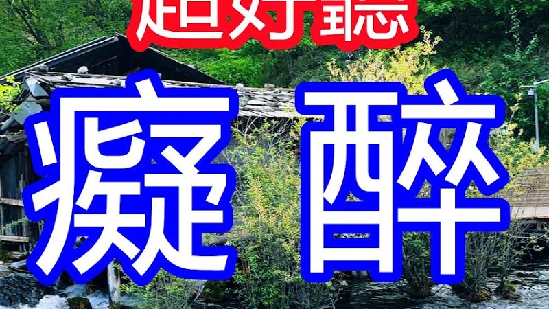 天呀！太好聽了，2月欣寶兒超火傷感情歌《癡醉》，今世紅塵只能遇見你一回，下輩子誰還會記得誰！讓你一聽就忘不掉的催淚神曲，唱的撕心裂肺，聽得痛哭流涕！九寨溝風景！傷感情歌！療癒情歌！