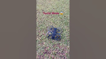 Turtle Mode | DJI Avata 2 @DJI #dji #drone