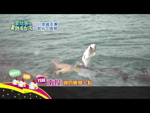 愛玩客之老外看台灣第251集2017金雞年走春一起玩一路發