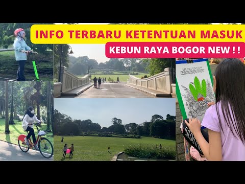 Video: Hal Yang Harus Dilakukan Di Kebun Raya – Pelajari Tentang Aktivitas Di Kebun Raya