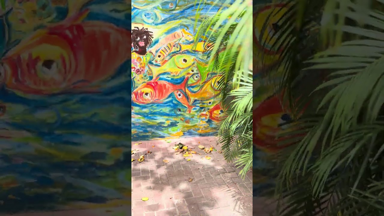 The colors of Willemstad 🩵 #curacao #islandlife #shortvideo