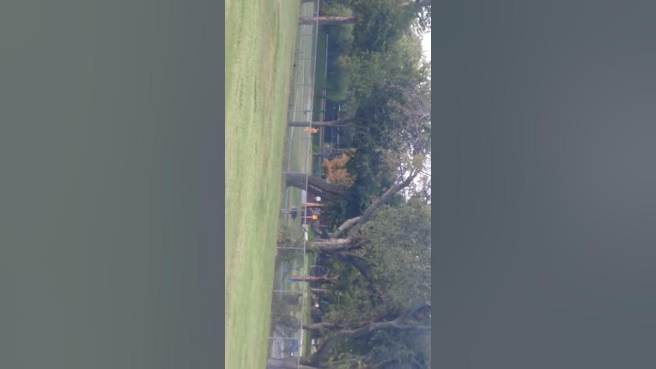 omg-clown-sighting-at-christie-elementary-in-plano-tx-youtube