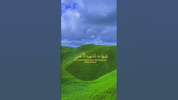 ادْخُلُوا الْجَنَّةَ أَنتُمْ وَأَزْوَاجُكُمْ تُحْبَرُونَ﴾[سورة الزخرف: 70] بصوت الشيخ محمد للحيدان❤️