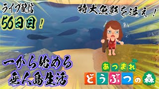 【あつ森】漁する乙女！一から始める無人島生活【56日目】