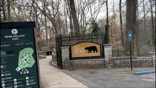 Bear Hollow Zoo 