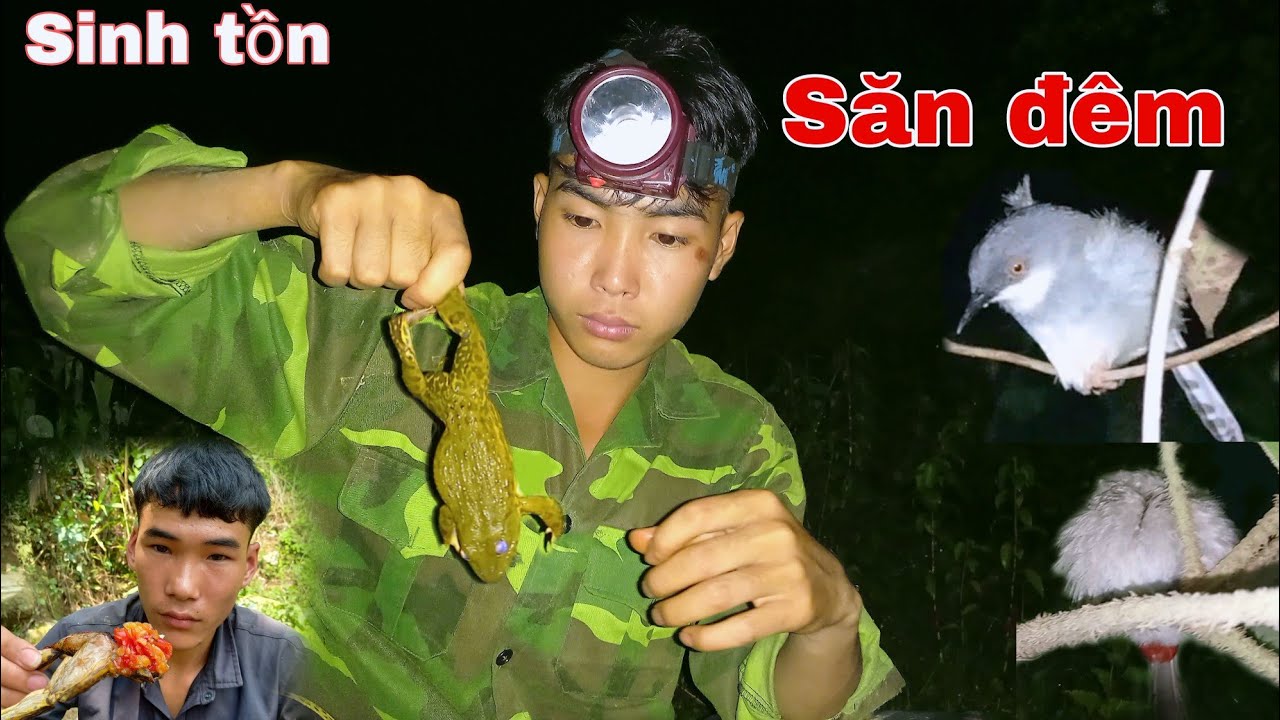 Sinh Tồn Trong Rừng | Đi Soi Đêm | Ăn Thịt Nướng | Tuyền Vlog