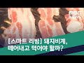 [스마트 리빙] 돼지비계, 떼어내고 먹어야 할까? (2020.06.26/뉴스투데이/MBC)