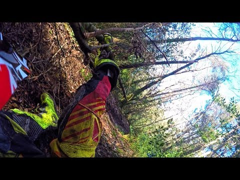 Dirt Biker Gets Speared By Tree | Brutal Moto Crash