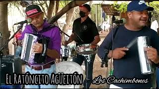 EL RATONCITO AGUEITON (EN VIVO) - LOS CACHIMBONES