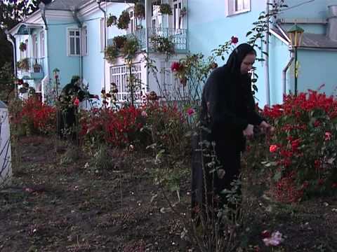 «Остров благодати Письма