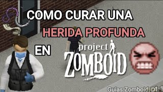 'Como curar una Herida Profunda' /Guias Básicas de PZ pt#1 'Como curar una Herida Profunda' /Guias Básicas de PZ pt#1