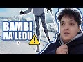 Marija Šerifović - BAMBI na LEDU #14