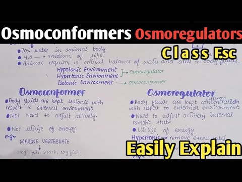 Osmoregulation In Animals | Osmoconformers And Osmoregulators | Class 12