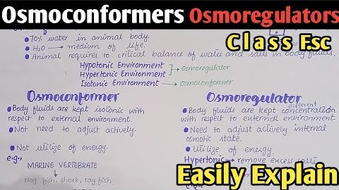 Osmoregulation In Animals | Osmoconformers And Osmoregulators | Class 12