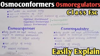 Osmoregulation In Animals | Osmoconformers And Osmoregulators | Class 12 -  Youtube