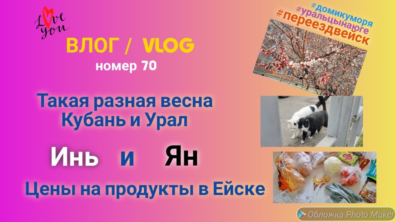 Переехали в Ейск 🌊 Весна на Урале и на Кубани 🤯 Милые котики Инь и Ян ☯ ...