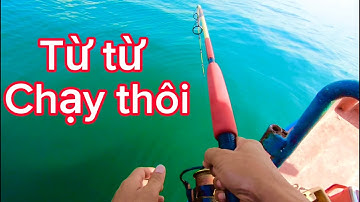 câu cá biển /câu vô bầy cá bè trang kéo tét nách