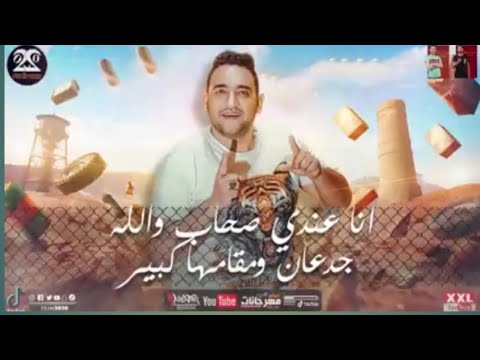 حالات واتس مهرجان اهدي يا وحش حلقولو و عمر الكروان و مودي امين توزيع قط2021