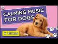 Soothing Music for Dogs to Calm Down, Relax &amp; Sleep | Dog Music Therapy Calming Aid for Relaxation