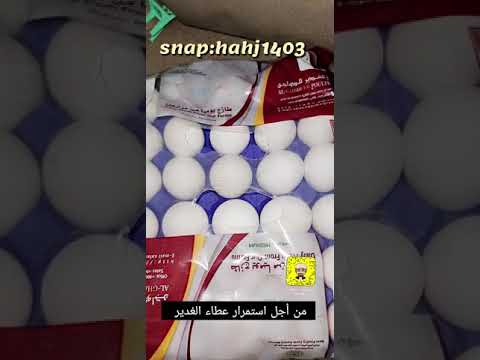 66 يستحق باسم الغدير هذا الدعم