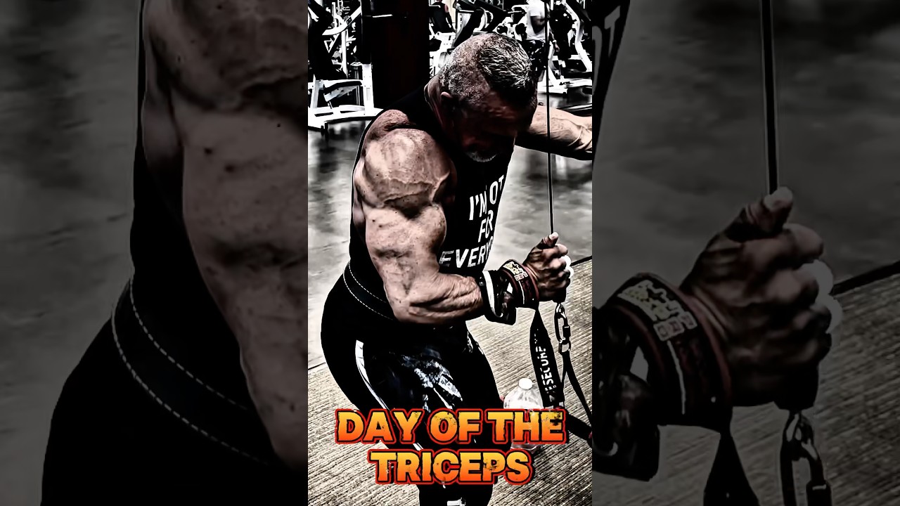 Day of the triceps motivation #triceps #workout #motivation