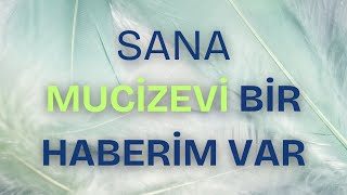 Dertler Derman İçi̇ndi̇r Tesli̇mi̇yeti̇n Işiltisi Ve Beyaz Tavus Kuşu Felsefesi̇