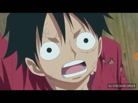 ون بيس ملوك البحر يساندون لوفي وينقذوه