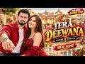 TERA DEEWANA ????| Rajab Family New Song | Haider Shah × Sumaiya Bakhsh
