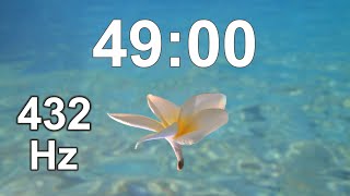 49 Minute Timer - Countdown - Clock Timer