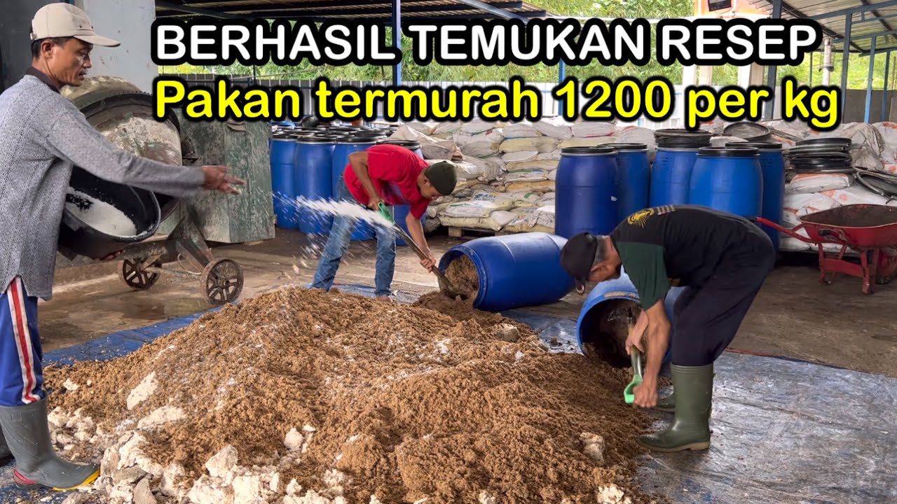 BOCORAN RESEP PAKAN TERNAK TERMURAH ‼️Simak 30 mnt 🔥🔥🔥