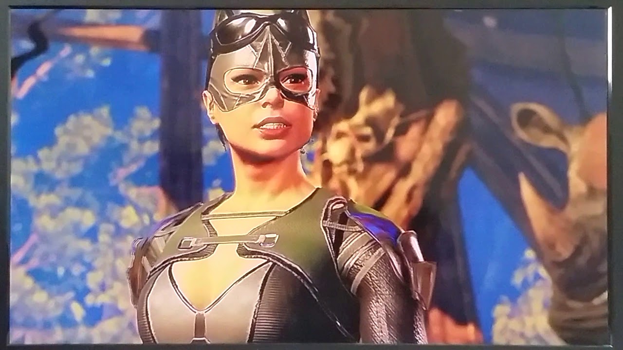 Injustice 2 dialogue catwoman vs cheetah français YouTube
