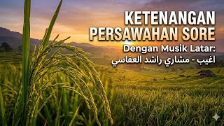 Pemandangan Sawah Sore Hari Yang Menenangkan  Musik Latar   Mishary Rashid Alafasy