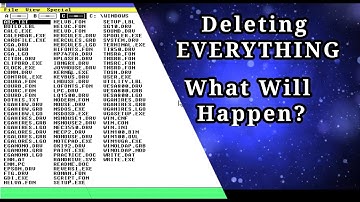 Deleting EVERYTHING in Windows 1.0