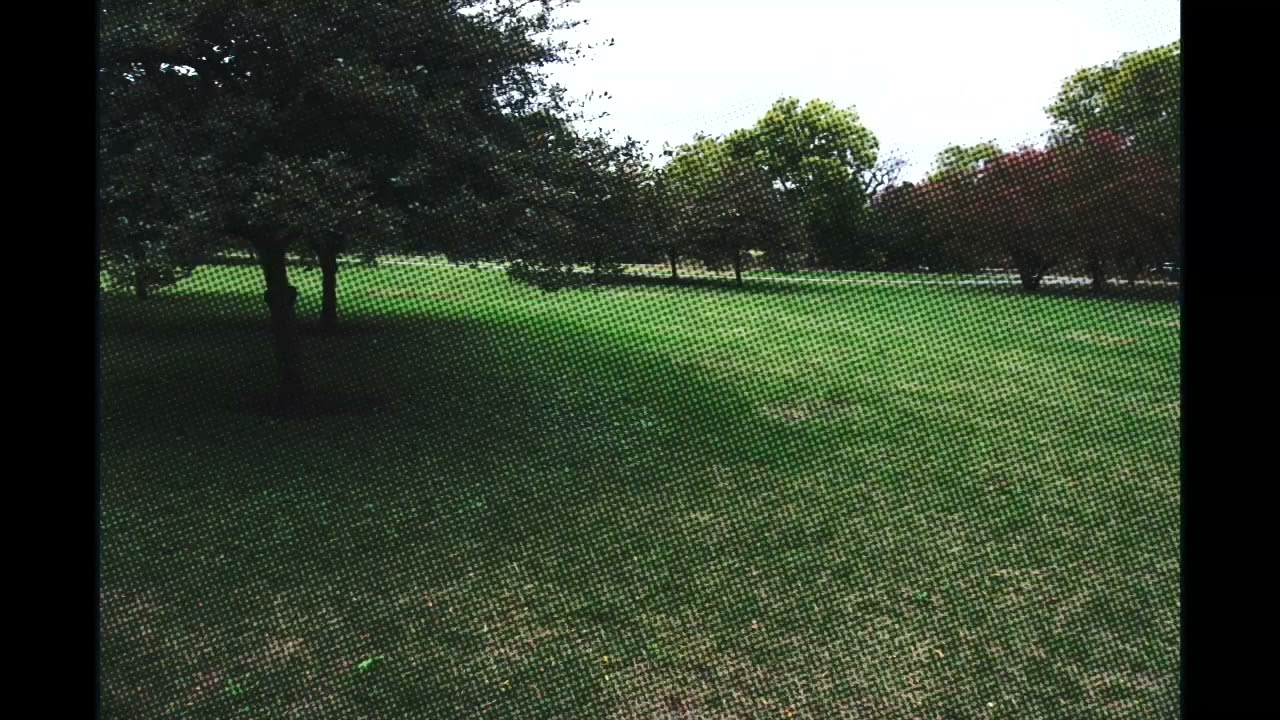 zander raymond: in terms of (featuring m. sage)