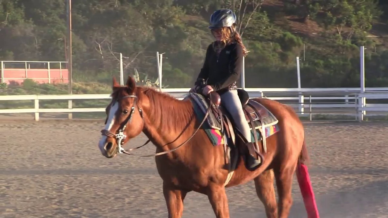 Horse's Lame Yet Riding Lessons Must Continue YouTube
