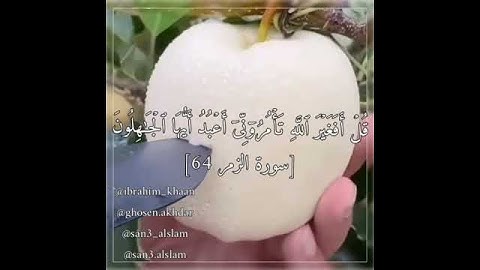 (قُلۡ أَفَغَیۡرَ ٱللَّهِ تَأۡمُرُوۤنِّیۤ أَعۡبُدُ أَیُّهَا ٱلۡجَـٰهِلُونَ) [سورة الزمر 64]